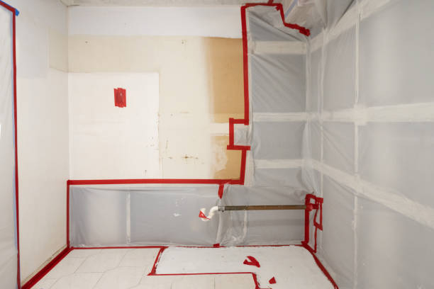 Best Air Quality Testing for Mold Spores  in Moonachie, NJ